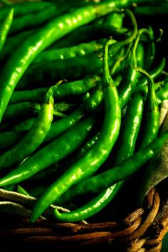 Green Chilli 